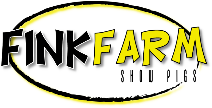 Domestic Pig Clipart (997x466), Png Download