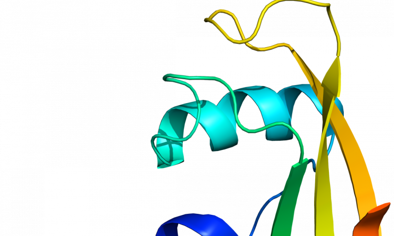 Study Gives Clues To Causes Of Motor Neurone Disease - Clip Art - Png Download (800x480), Png Download