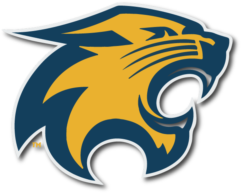 Contact - River Falls High School Wildcats Clipart (1024x846), Png Download