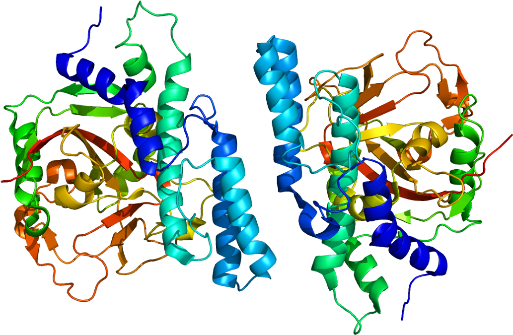 Ca 125 Protein Structure Clipart (1082x724), Png Download
