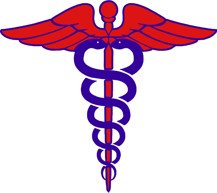 Nurses Unite- Safe Staffing Full Zip Hooded Sweatshirt - Non Emergency Medical Transportation Logo Clipart (750x668), Png Download