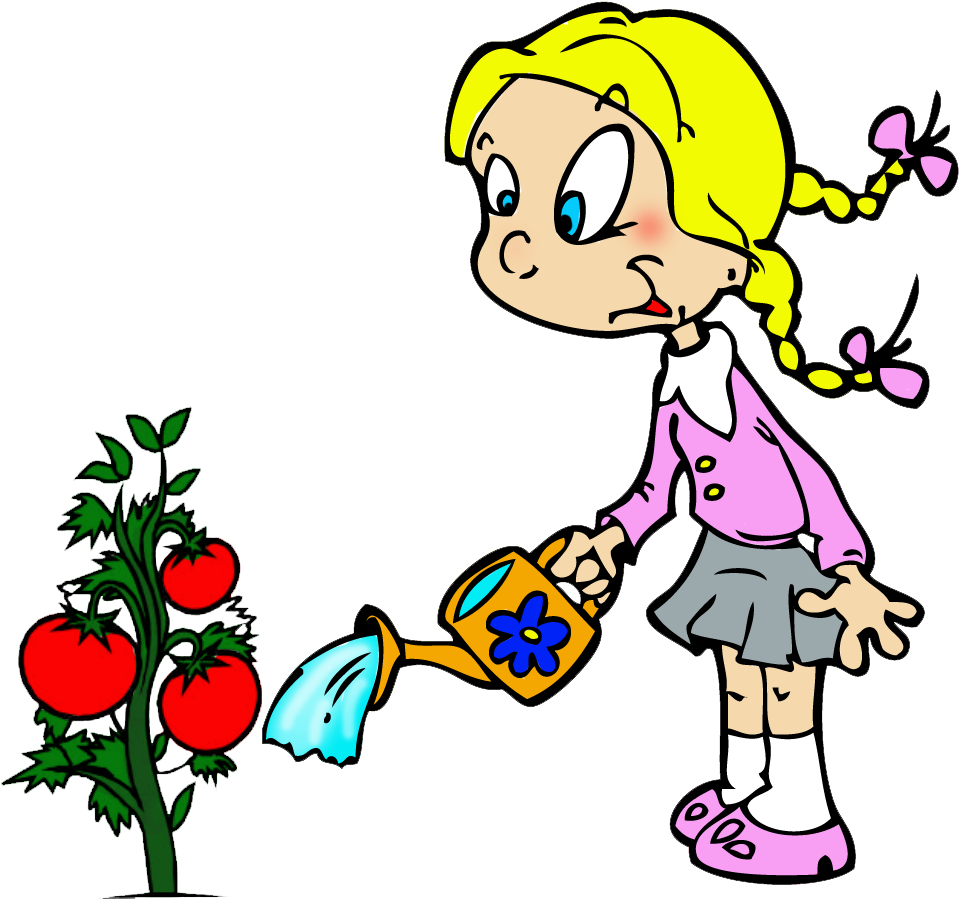 Dibujos Para Colorear Niños Sembrando Plantas ~ Ideas - Tomato Plant Clip Art - Png Download (959x899), Png Download