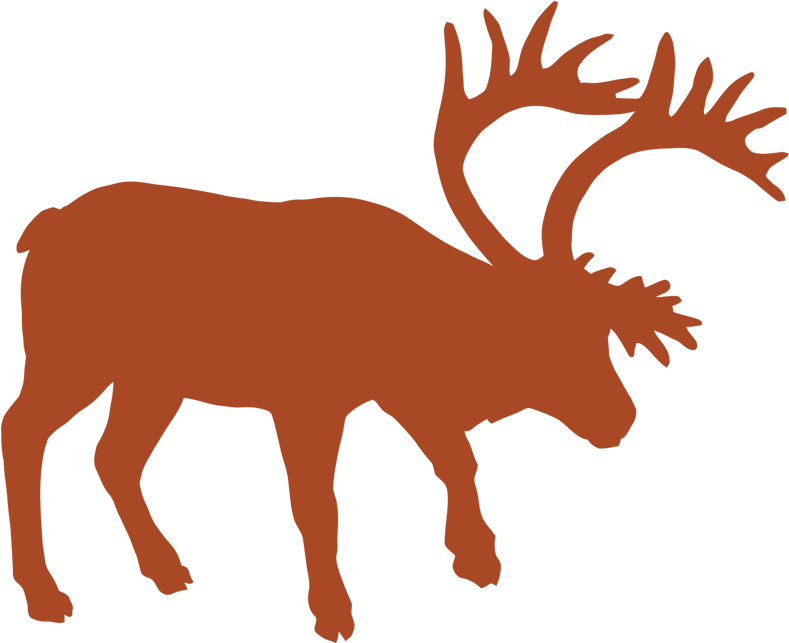 Mountain Caribou - Deer Clipart (800x800), Png Download