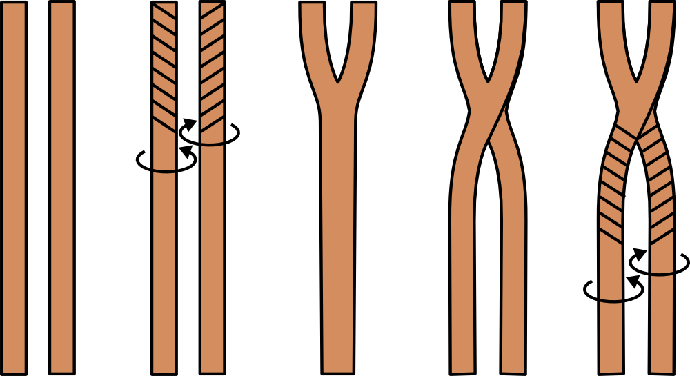 Alternative 2-stranded Braiding Technique - Braid 2 Strands Clipart (1000x545), Png Download