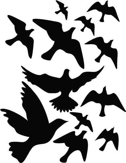 Sticker Nature Oiseaux - Nature Black White Stickers Clipart (800x800), Png Download