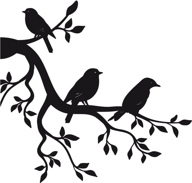 Sticker Branche Oiseau - Oiseau Sur Une Branche Clipart (800x800), Png Download