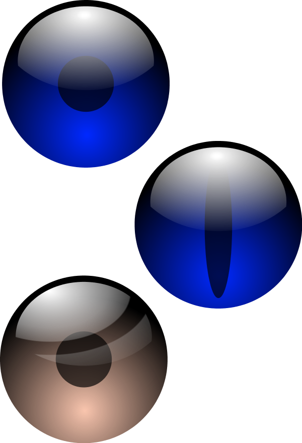 Big Eyes Clip Art N14 - Eye Clipart - Png Download (600x880), Png Download