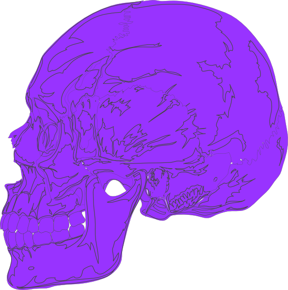 Hyhg Clip Art - Skull - Png Download (594x598), Png Download