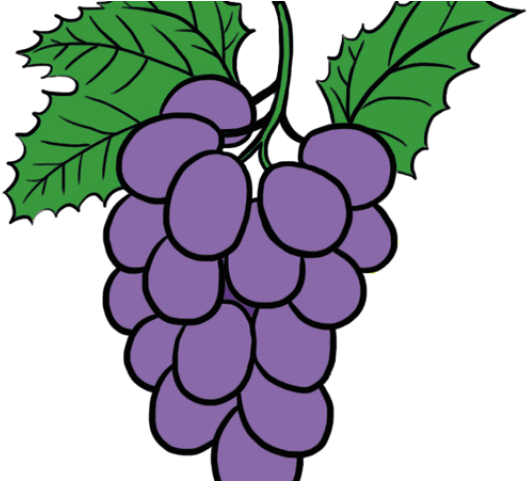 Grapes Clipart Pop Art - Transparent Grape - Png Download (640x480), Png Download