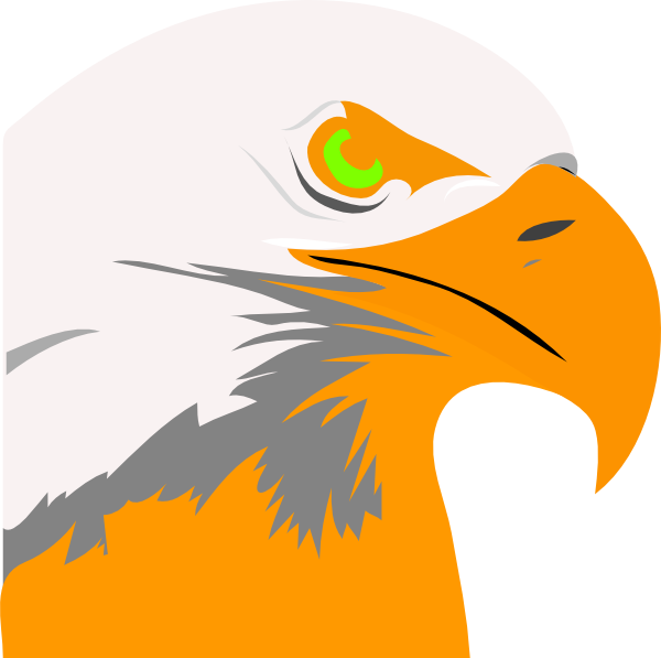Eagle Logo Png Orange Clipart (600x597), Png Download