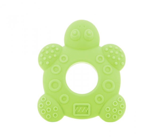 Tortoise Clipart (800x800), Png Download