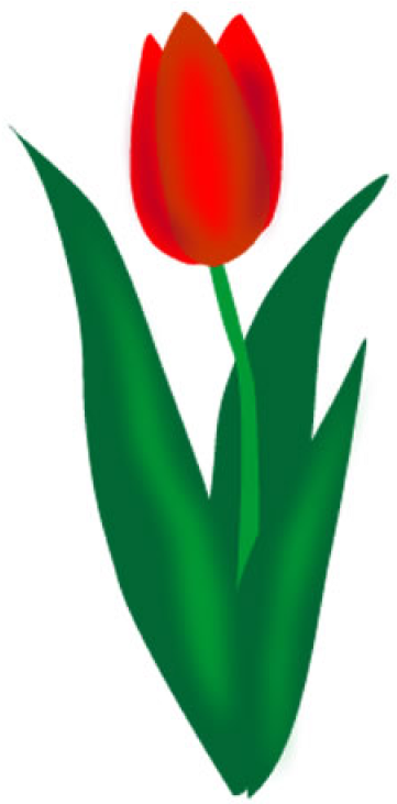 Tulip Png Image, Download Png Image With Transparent - Tulip Clipart Png (400x800), Png Download
