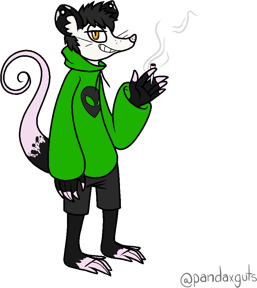 Alex The Possum - Furry Fandom Clipart (1000x1000), Png Download