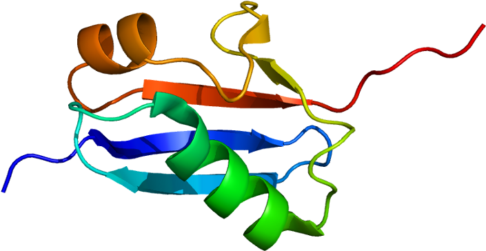 Sumo Protein Png Clipart (754x413), Png Download