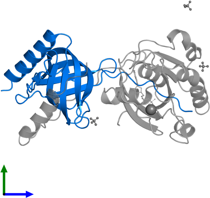 Uracil-dna Glycosylase Clipart (800x800), Png Download