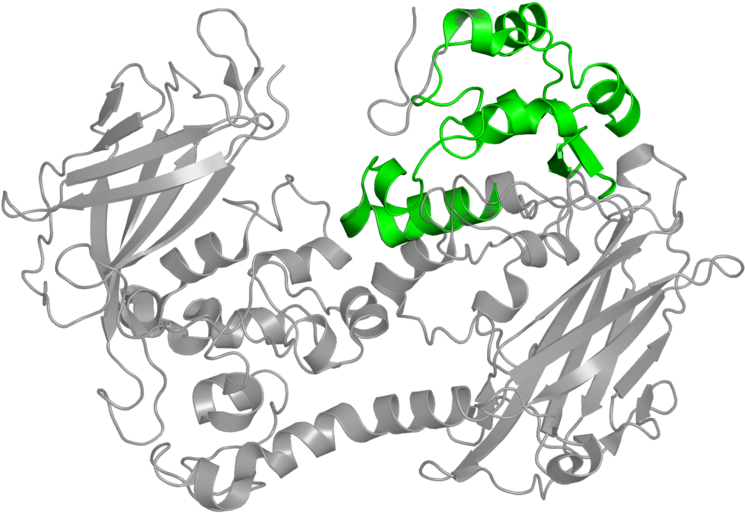 Graphic Design Clipart (800x800), Png Download