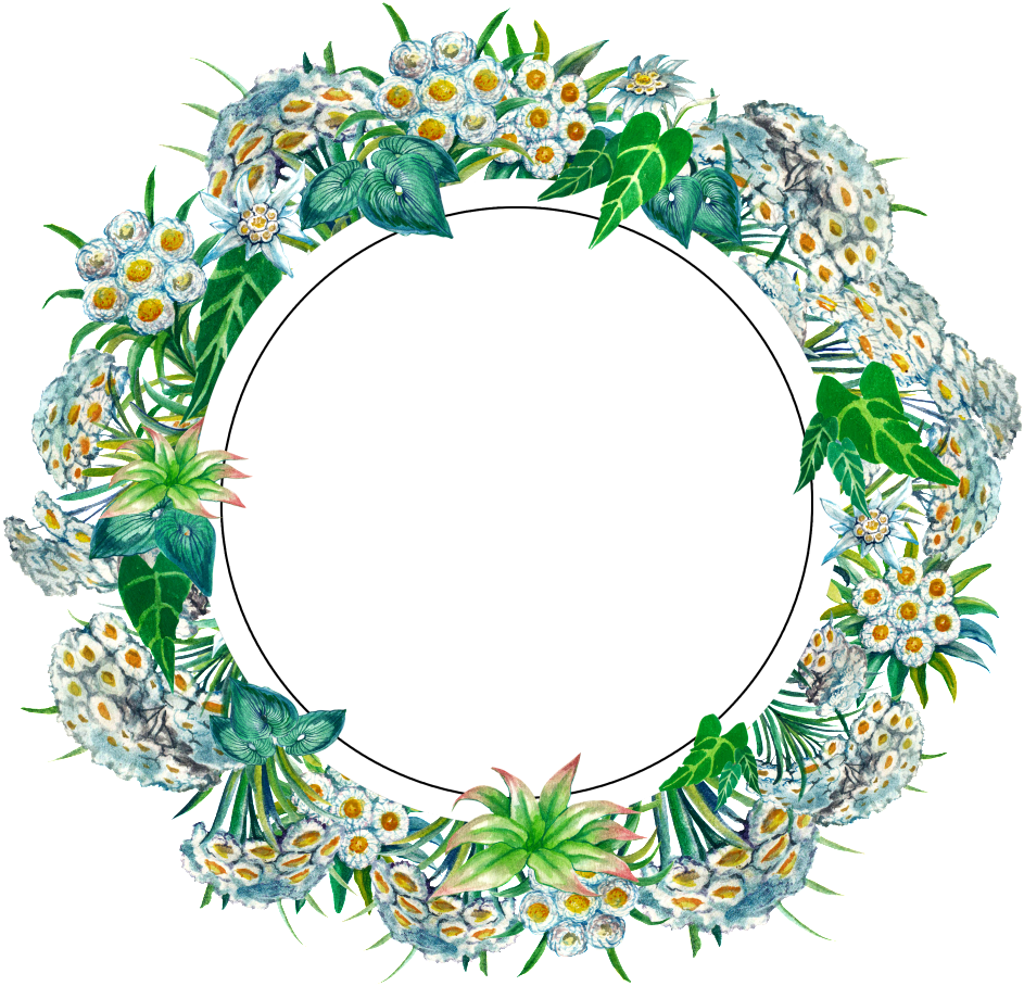 Round Garland Transparent Decorative - Portable Network Graphics Clipart (1024x1024), Png Download