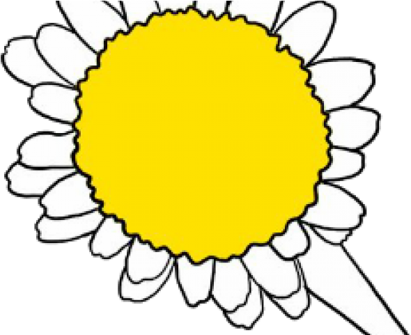 Daisy Clipart Living Thing - Sunflower - Png Download (640x480), Png Download