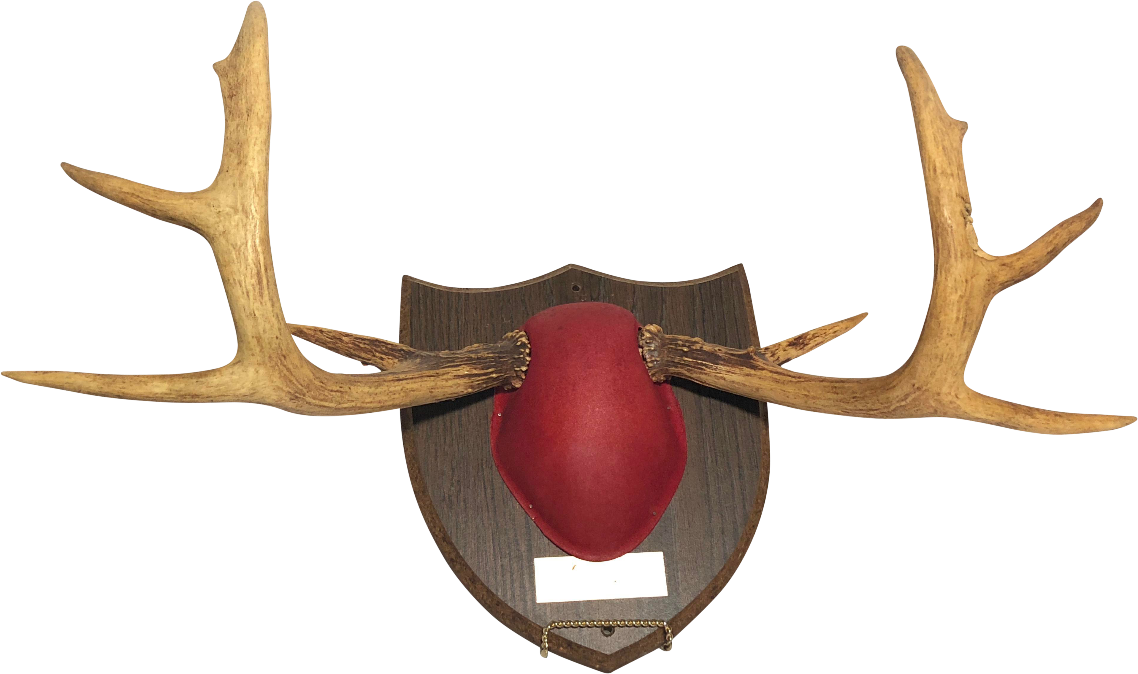 Elk Clipart (4259x2523), Png Download