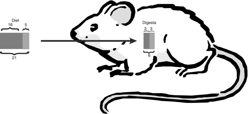 Calculation Of The Total Lysine And Reactive Lysine - Squeak Squad Rectangle Magnet Clipart (850x392), Png Download