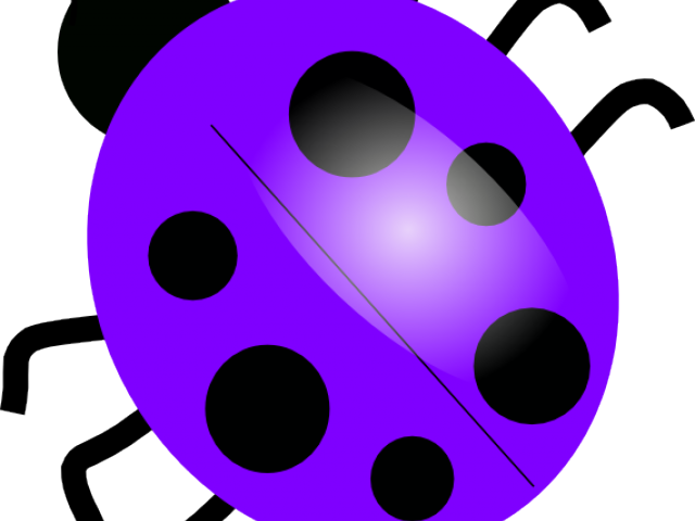 Purple Clipart Ladybug - Dibujo De Una Mariquita - Png Download (640x480), Png Download