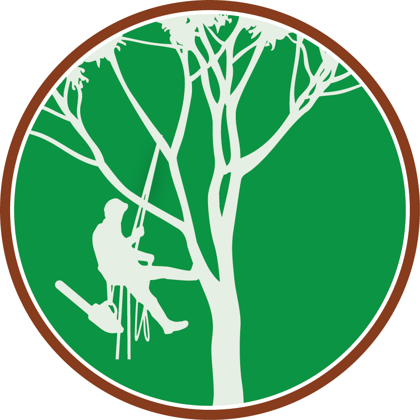 Paul The Tree Climber Icon - Tree Climber Clipart - Png Download (864x864), Png Download