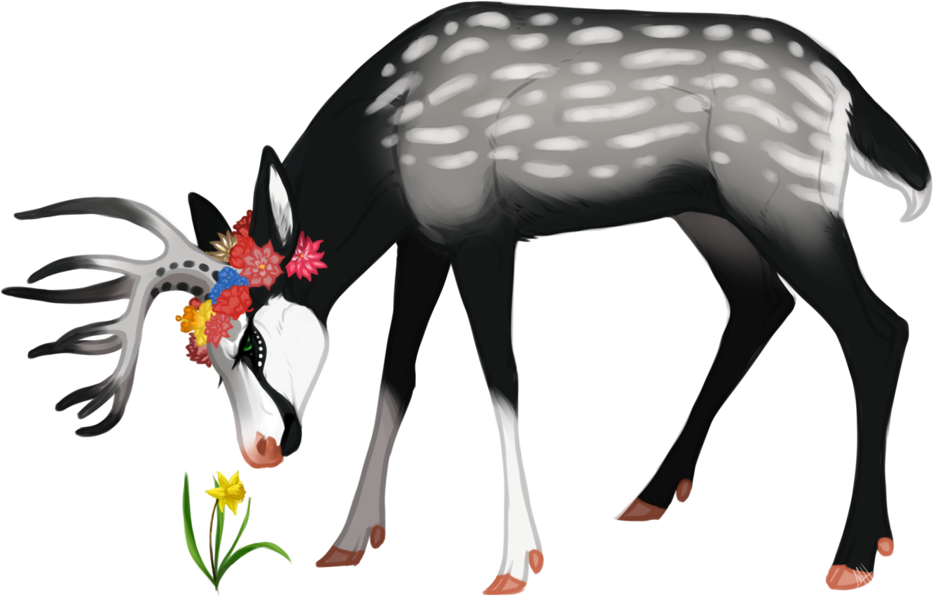 Lyre For Treedancer - Lyre Clipart (1379x900), Png Download