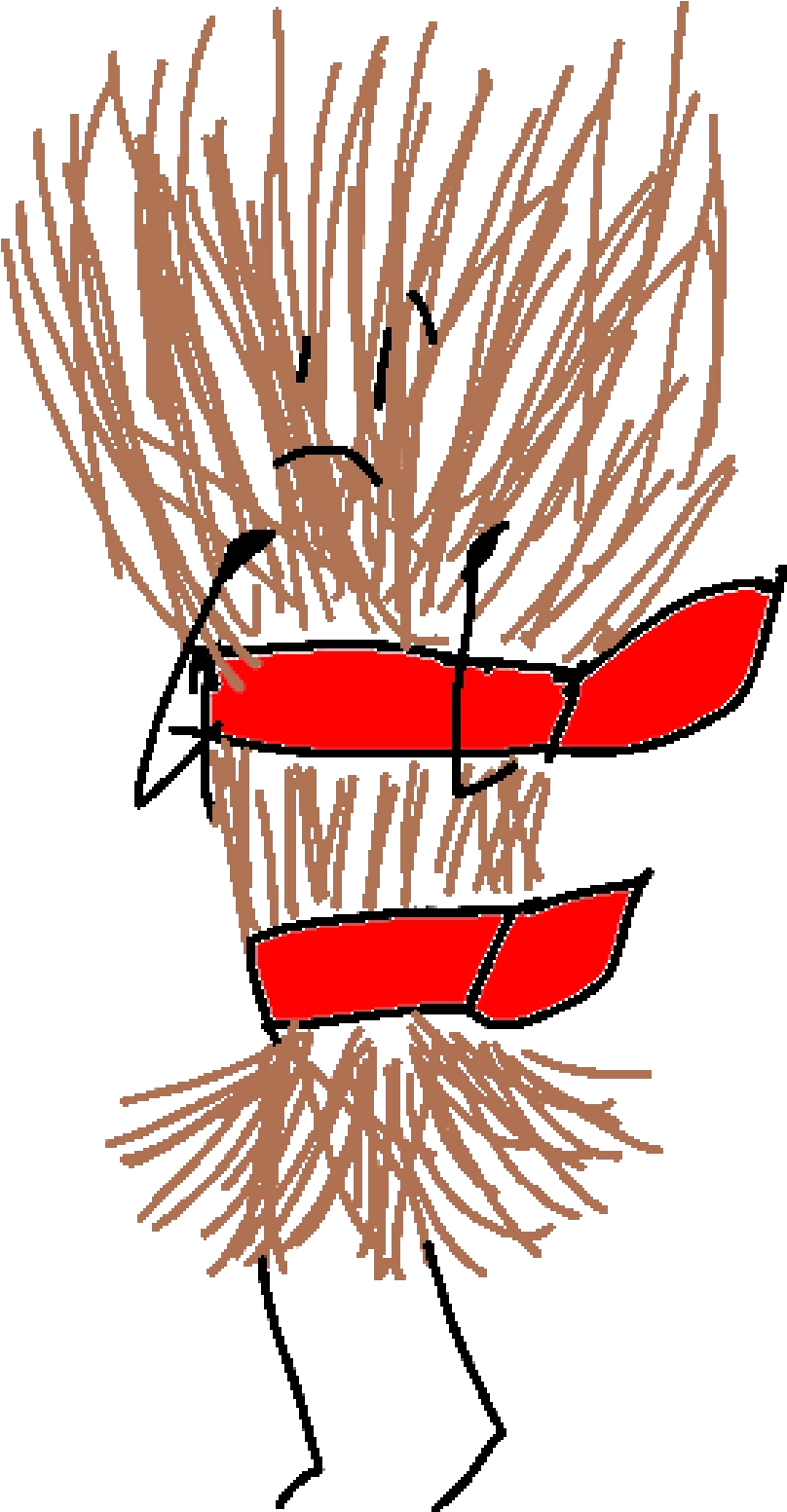 Bo-pasta - Pasta Clipart (1188x1790), Png Download