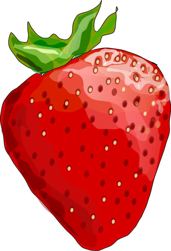 Strawberry By Degri - Transparent Background Strawberry Clipart - Png Download (544x800), Png Download