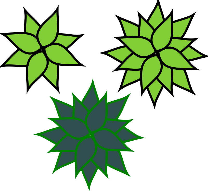 Choose Privacy Week American Library Association Information - Nova Award Let It Grow Clipart (796x750), Png Download