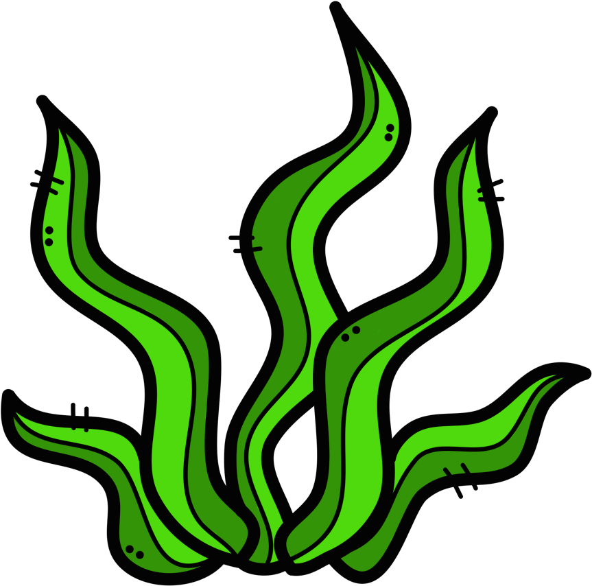 **✿*fauna Marina*✿** School Clipart, Clipart Images, - Julián Is A Mermaid - Png Download (1001x971), Png Download