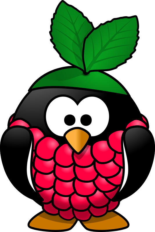 Raspberry Pi Arch Linux Arm Computer Icons Banana Pi - Raspberry Pi Clipart (501x750), Png Download