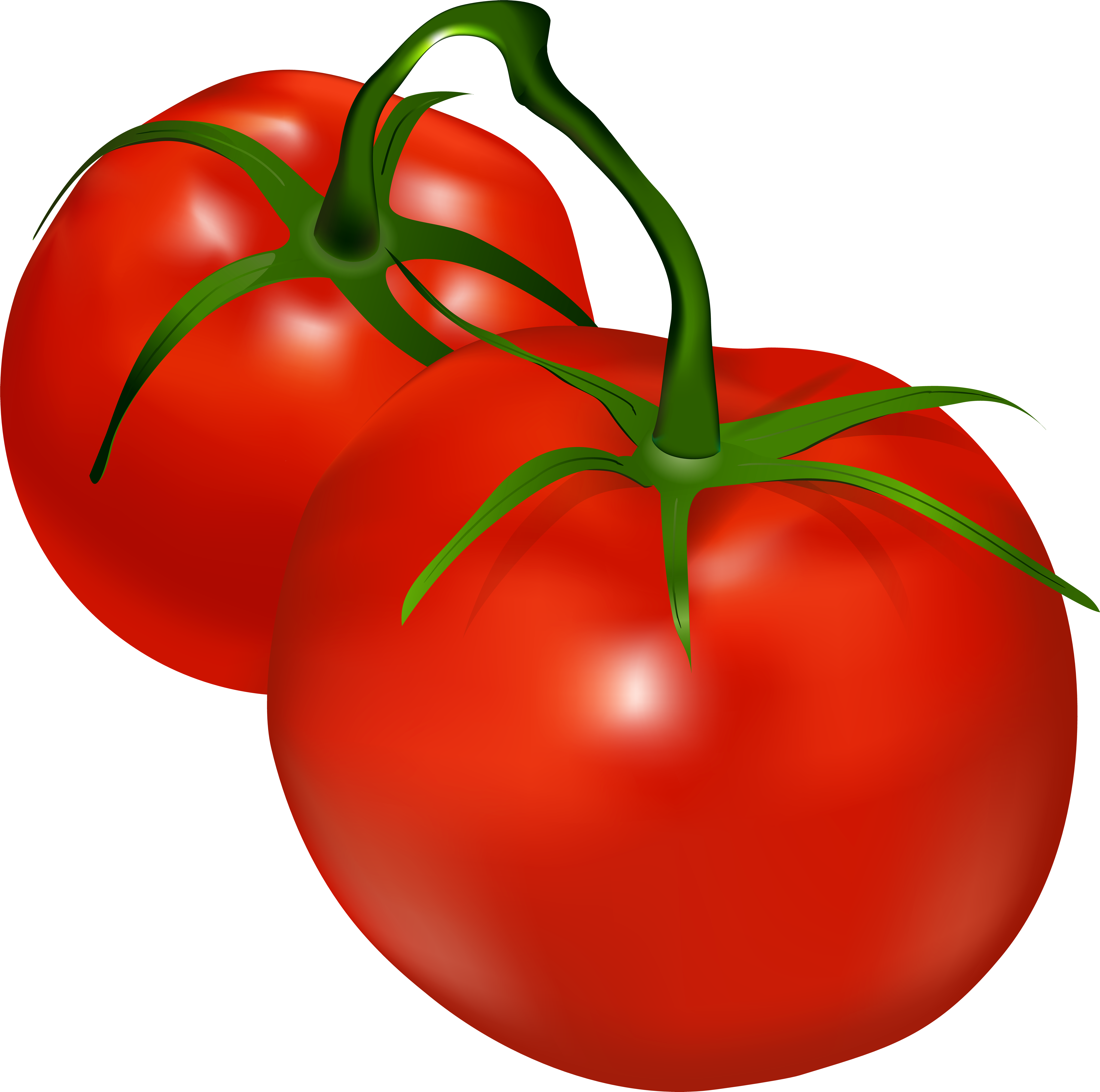 Download Tomatoes Transparent Png Clip Art (#164678) - PinClipart