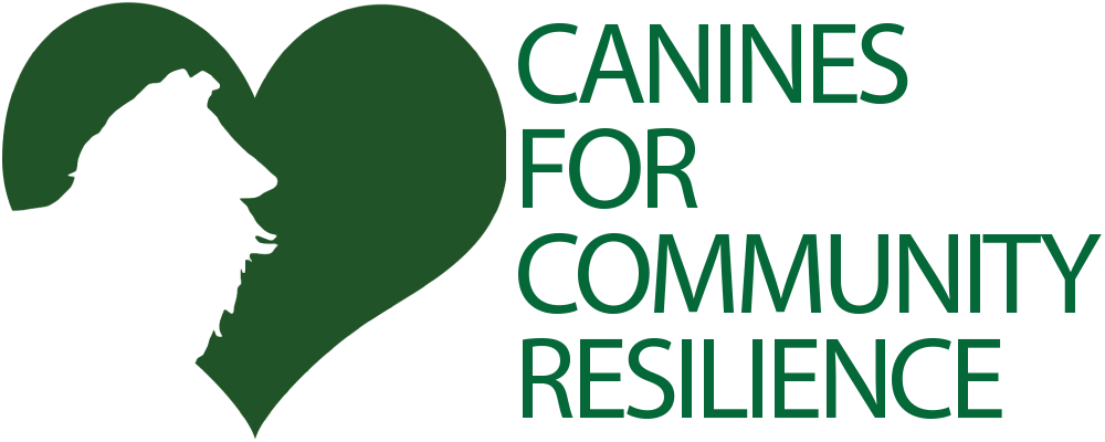 Follow Us On Social Media - Customer Care Excellence: How To Create An Effective Clipart (1000x400), Png Download