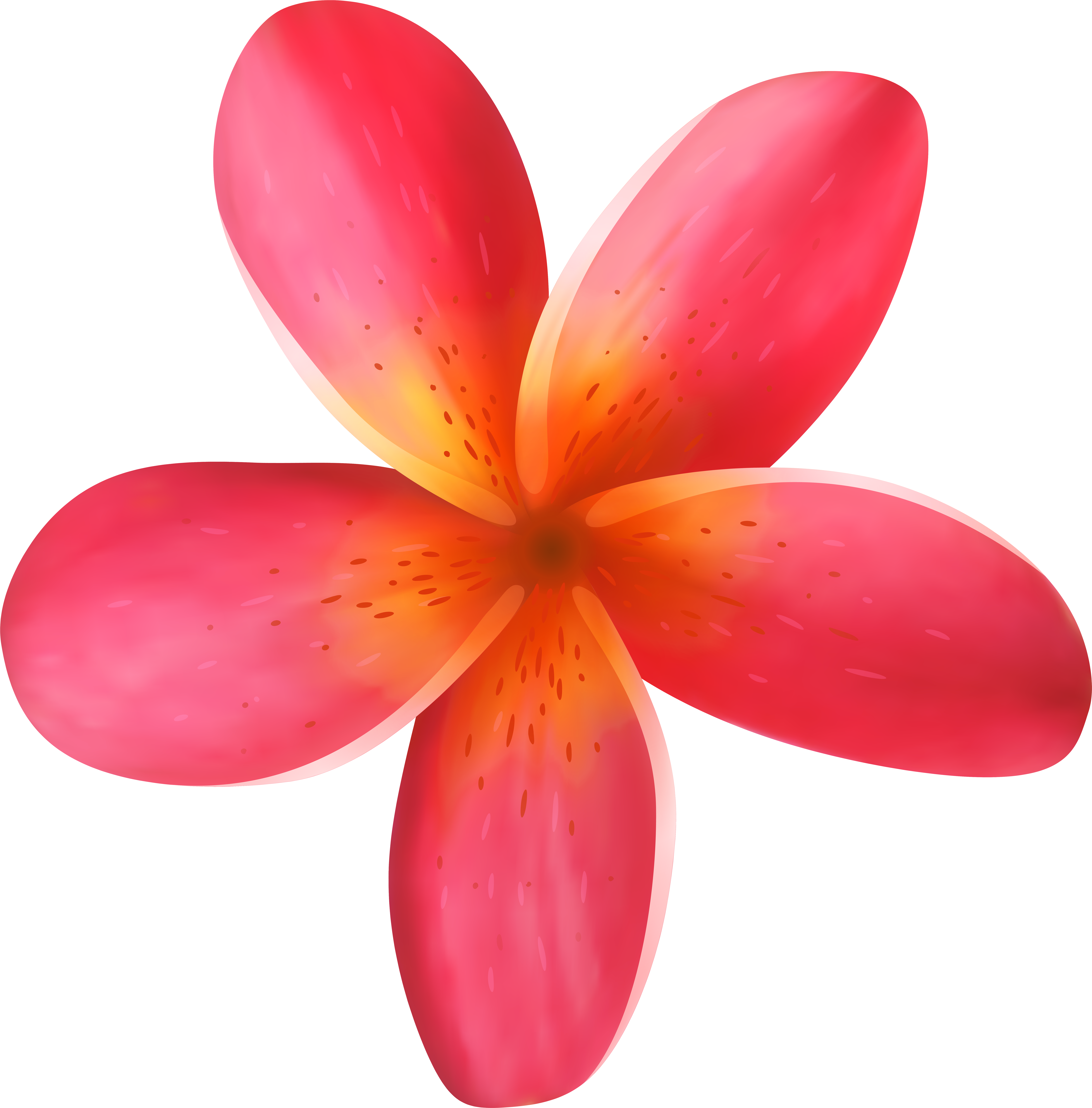 Tropical Clipart (7884x8000), Png Download