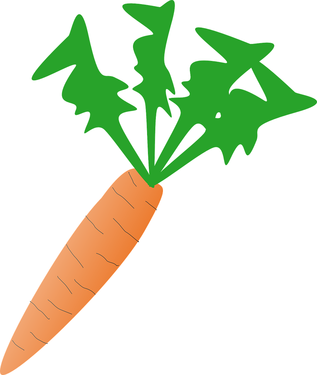 Carrot Clip Art - Png Download (555x656), Png Download