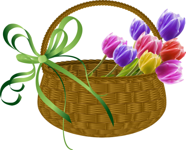 Information And Clip Art About Tulips - May Baskets Clip Art - Png Download (640x519), Png Download