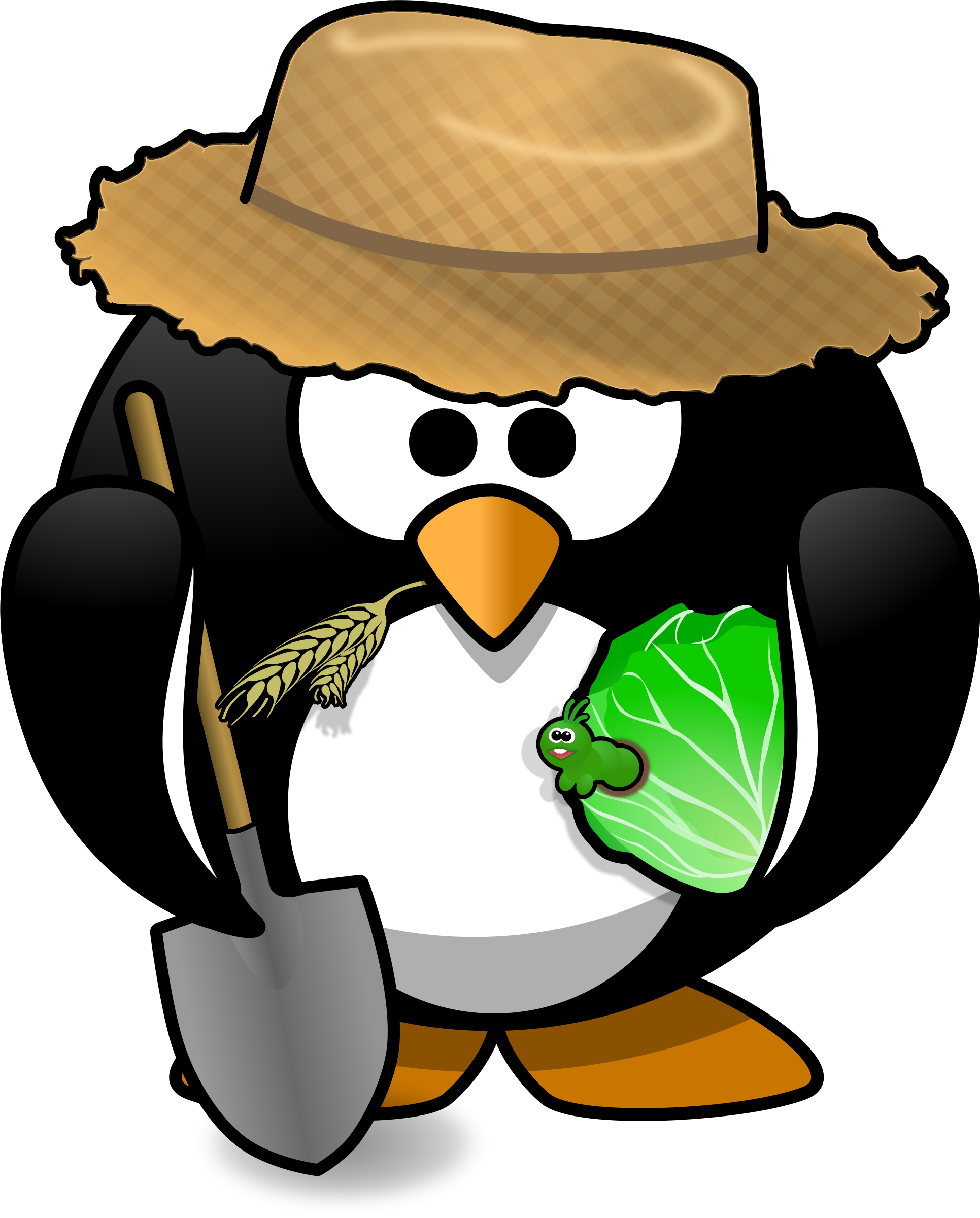 Hat Clipart Farm - Cartoon Penguin - Png Download (1931x2400), Png Download
