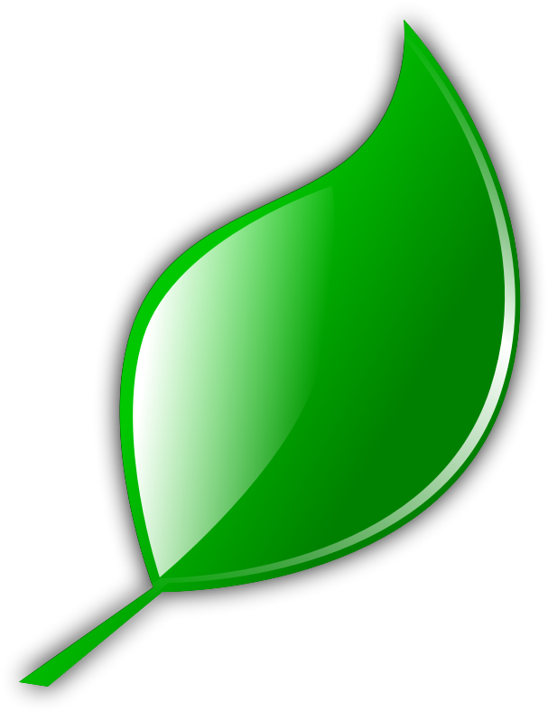 Clipart - Leaf - Cartoon Leaf Transparent Background - Png Download (800x800), Png Download