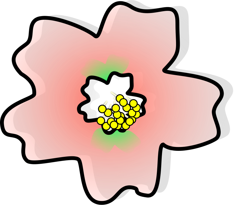 Japan Cherry Blossom Flower Drawing - ดอก ญี่ปุ่น Png Clipart (851x750), Png Download