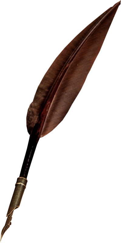 Quillclip Art - Feather - Png Download (399x800), Png Download