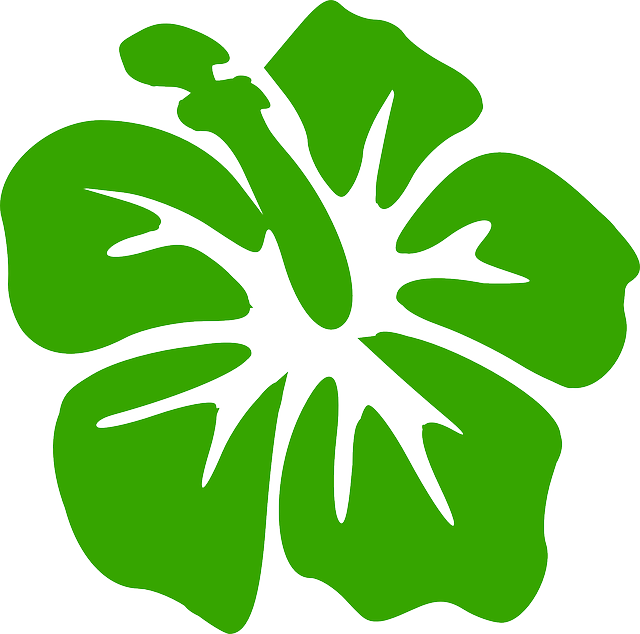 Rose Of Sharon Vector Clipart (600x594), Png Download