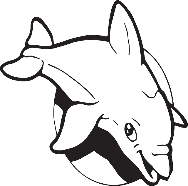 Dolphin Tail Cliparts - Florida-delphin #0222 T-shirt - Png Download (640x633), Png Download