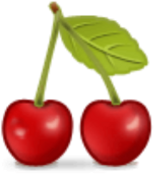 Sketch Flower Image Design Color Splash Art Art - Samsung Style S50 Clipart (1024x1024), Png Download