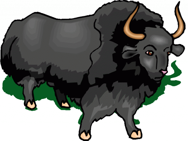 Muskox Clipart Buffalo - Buffalo - Png Download (640x480), Png Download