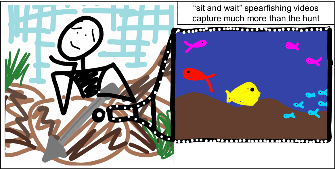 Digitally Partnering With Spearfishers To Survey Fish - Illustration Clipart (1165x590), Png Download