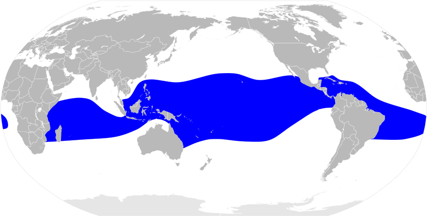 Sula Sula Map - Apec Business Travel Card Map Clipart (940x477), Png Download