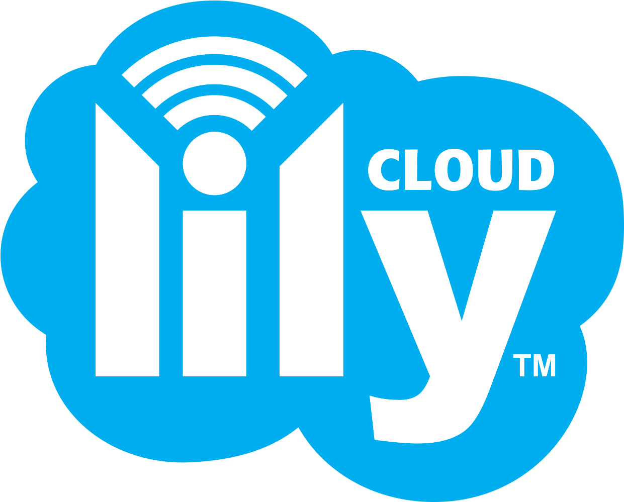 Clip Art Cloud Comms Lilycloudlogo - Banner Life - Png Download (1326x1115), Png Download