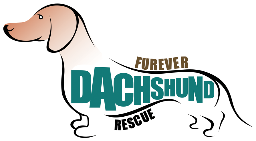 Clip Art Black And White Download Welcome Bluebrown - Mini Dachshund Rescue California - Png Download (1013x586), Png Download