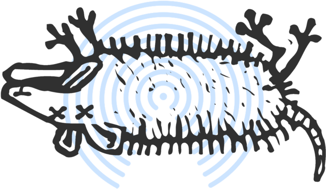 Airdrop Dead Possums Jaron Myers Jpg Stock - Roadkill Clipart - Png Download (1000x400), Png Download